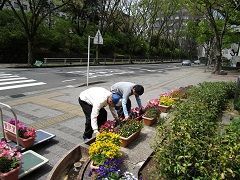 みなさん見てくださいね。