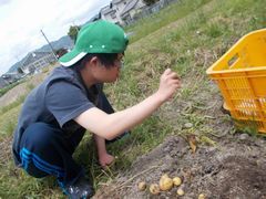 昼間散歩途中採り