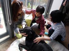 引退盲導犬とのふれ合いA