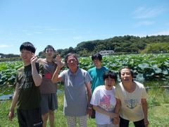 蓮華寺池立派なハスと