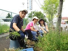 生い茂る雑草