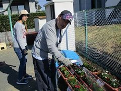 お水の水やり