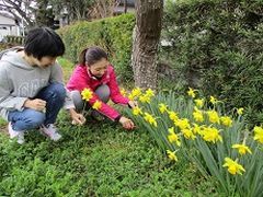 室内に飾りましょう