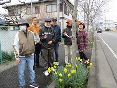 お散歩コースでのお花見