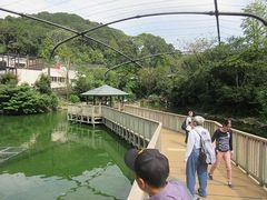 鳥はどこかな？