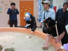 ふれあい水槽