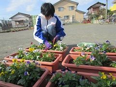 枯れた花を切ってます