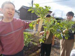 朝日と