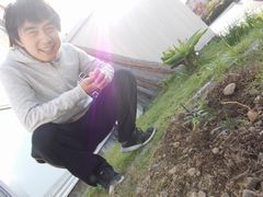 太陽の光のもと見ることができること
