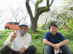 男同志、桜の下で何を話したのかな？