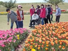 4月　チューリップの前で