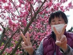 4月　桜と私