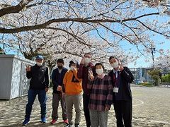 桜の木の下で