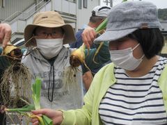 野菜の収穫、楽しい！！