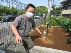 ジャガイモ・トマト・きゅうりを栽培中