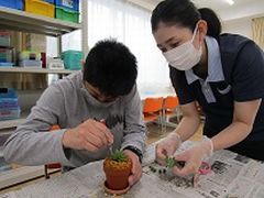 ピンセットで穴を開けて多肉を植えていきます