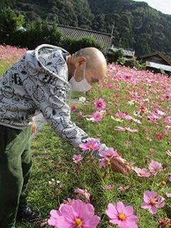 きれいだな～