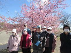 満開の河津桜の前で。