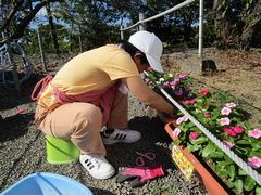 枯れた花びらもたくさん落ちてるね～