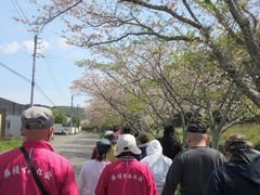 あっという間に桜が散って葉桜へ移り変わってきました