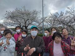 東部桜３