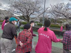 東部桜４