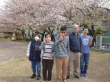 南部桜１