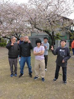 南部桜２