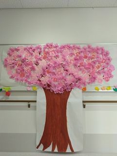 南部桜３