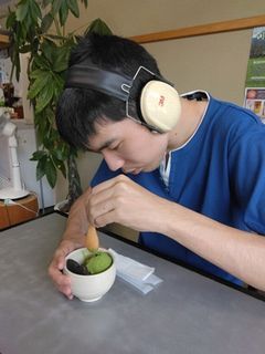 SLクッキー付の抹茶アイス