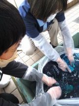 どうなるのかな？きれいに染まるかな？