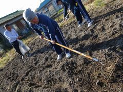 日は変わって麦まき開始