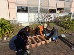 きれいな花が咲きますように