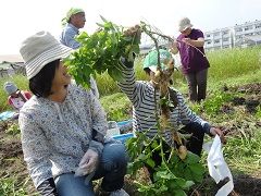 顔かくれちゃったっしょ