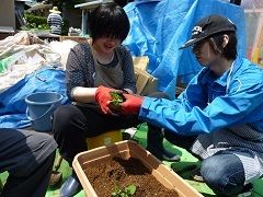 きゅうり、おくら等を自分達で選びました♪