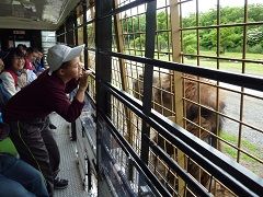 「すごい！すごい！」餌をあげました