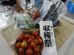 真夏日近し！採れたて野菜たち。