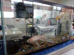 皆、一緒にいる仲間達です