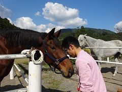 馬への「あいさつ」の見本