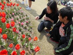 お花を見にグループ外出（吉田公園）